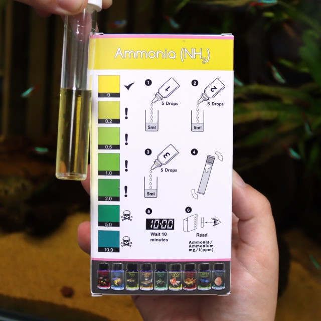 Aquarium Mini-Test Lifestyle 1