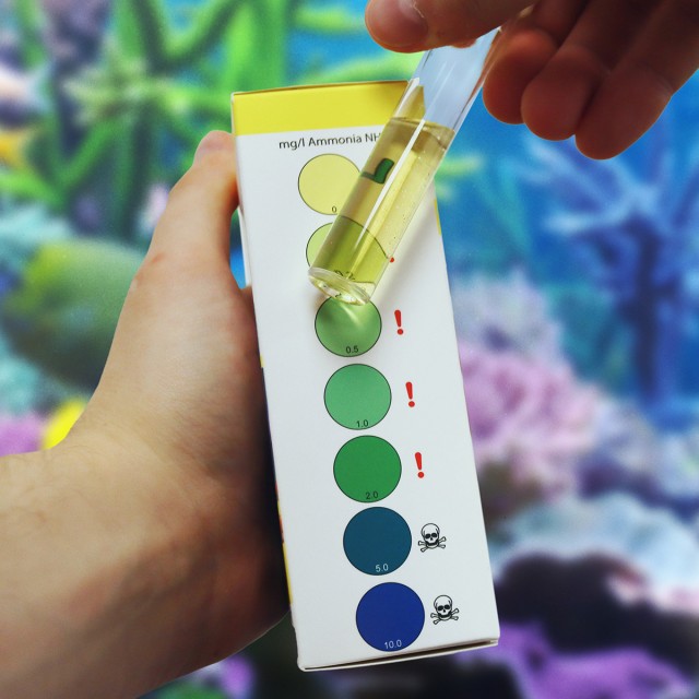 Marine Ammonia Test Lifestyle 2