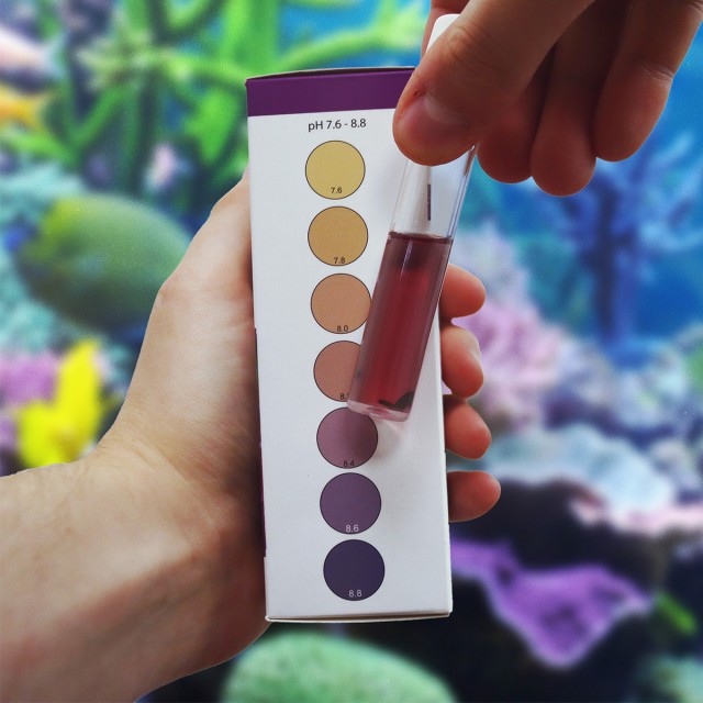 Marine pH Test Lifestyle 2