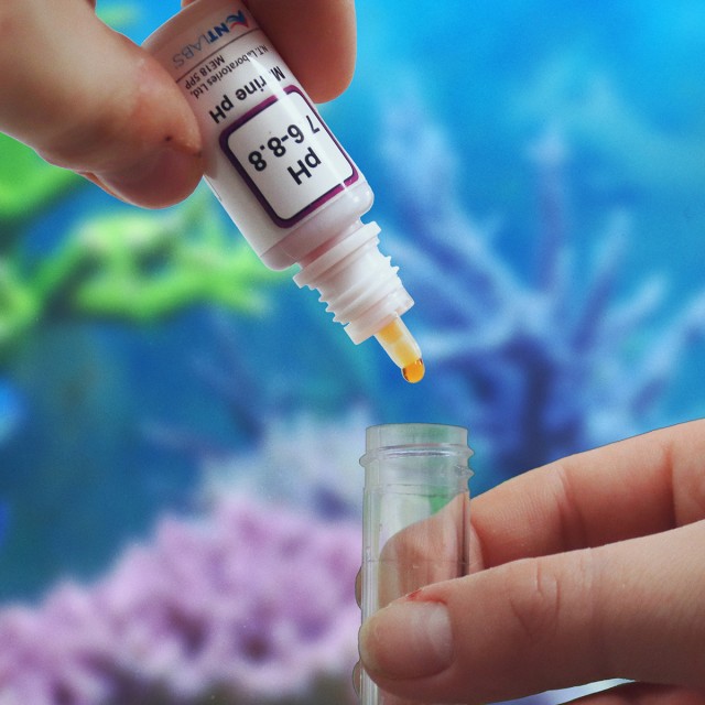 Marine pH Test Lifestyle 1