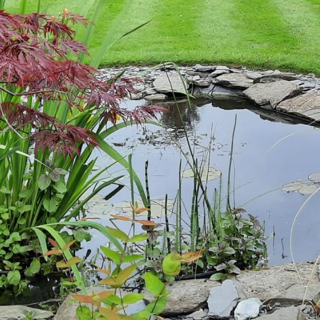 Pond Booster Lifestyle 2